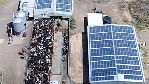 commercial solar power